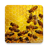 Apiary Book